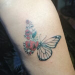 rose wing butterfly